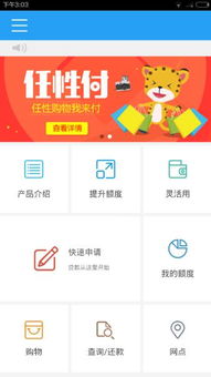 任性，是生活中的一種錯位的善意